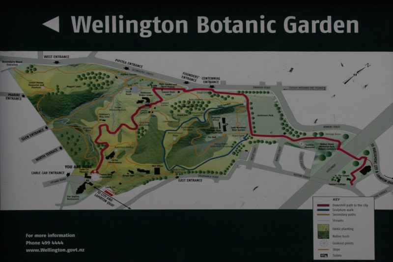 Nieuw-Zeeland 2011 - 0908